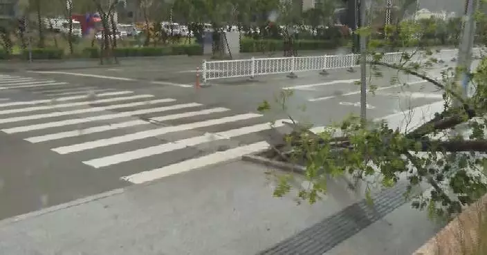 颱風沙德爾登陸浙江 華東沿岸受烈風風暴潮吹襲