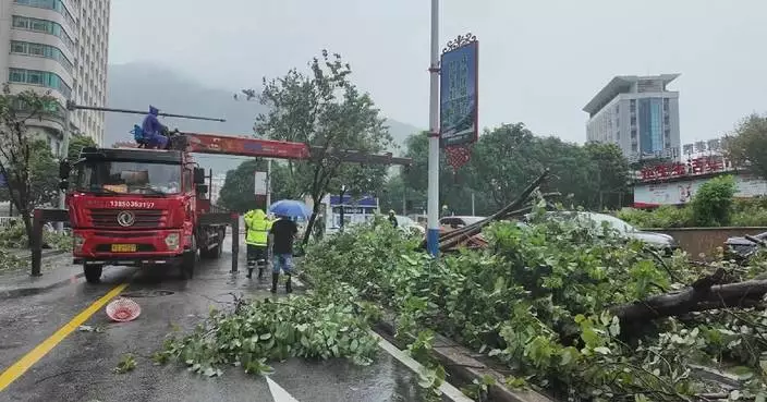 華東寧德市清理颱風沙德爾災情 暴雨狂風致樹木倒塌水浸