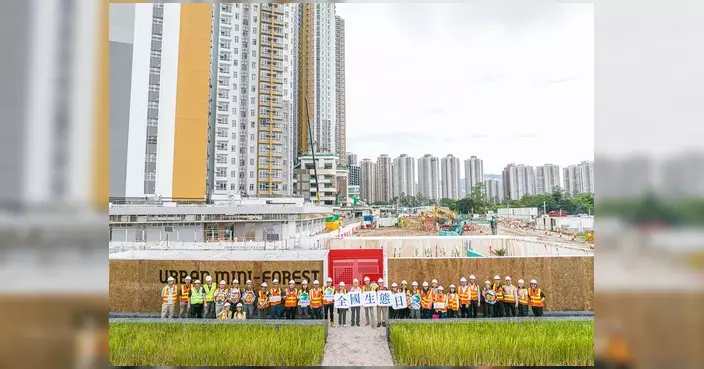 土木工程拓展署辦粉嶺北都市微森林技術參觀 樹苗一年半最高逾2米