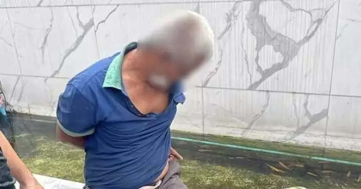 泰男深夜闖民宅魚池猥褻錦鯉 屋主揭愛魚接連出現身體彎曲及死亡