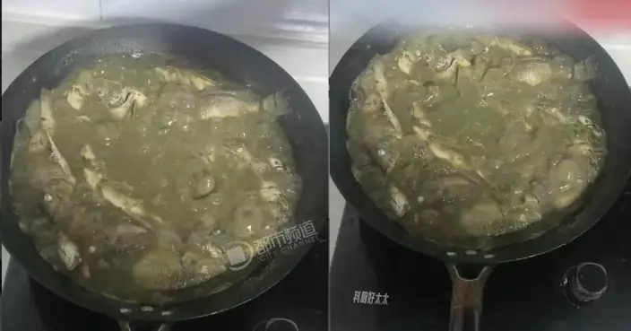 廣西男煮魚出鍋變「水泥湯」 灰白濃稠賣相嚇窒網民：帶泥漿煮嗎？