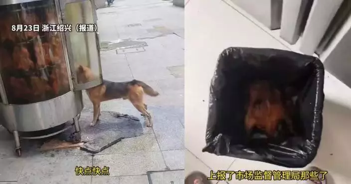 浙江烤鴨店27隻烤鴨遭流浪狗舔食 店主疑爐門被人故意打開報警
