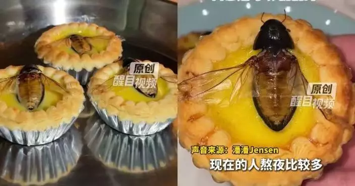 佛山酒樓推「水曱甴蛋撻」 負責人試食後讚脆口 網民崩潰直呼：好核突！