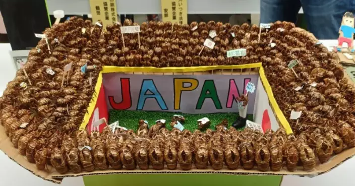 用蟬蛻砌「世界盃」足球場暗藏諧音梗 日本小學創意暑假作品勇奪市長獎