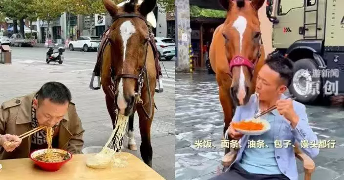 湖北馬匹飯桌前「討飯食」爆紅遭疑AI生成 飼主澄清：花3年社會化訓練