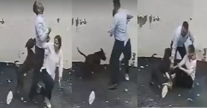 印度夫婦睇樓突遭比特犬襲擊 妻子遭撲倒重傷 丈夫上前護妻同被咬
