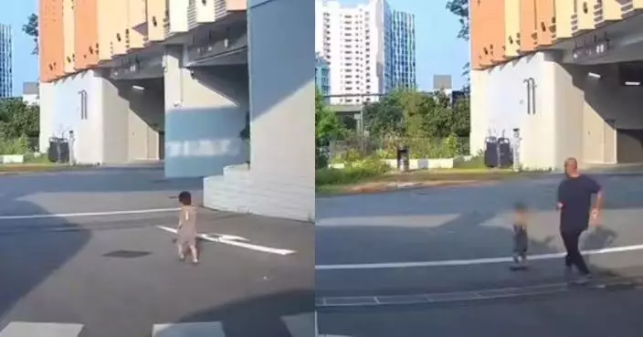 幼童無人看管欲闖馬路 新加坡司機急煞車救人 粗心父反應冷淡捱批