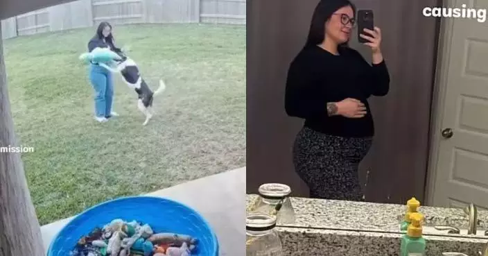 遭寵物犬撲身嗅聞腹部感疑惑 女飼主驗出懷孕恍然大悟：原來牠一早就知