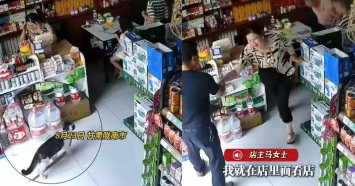8個月大貓仔叼近1米長蛇回店當「伴手禮」 甘肅女店主嚇到尖叫逃跑