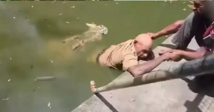 巴布亞新畿內亞飼養員餵鱷魚遭咬雙腿拖落水苦撐1小時獲救 失1腿翌日不治