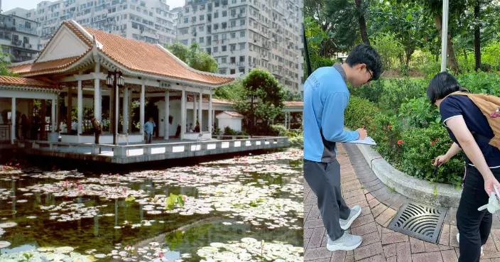 大角咀女子染基孔肯雅熱成2026年首宗本地個案 曾在區內兩公園被蚊咬　