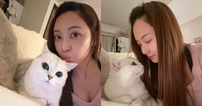 葉蒨文晒與愛貓甜蜜合照 網民驚嘆人寵神情如出一轍