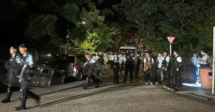 漁護署：與警方聯合行動被捕獲三隻均為唐狗 兩隻已植入晶片
