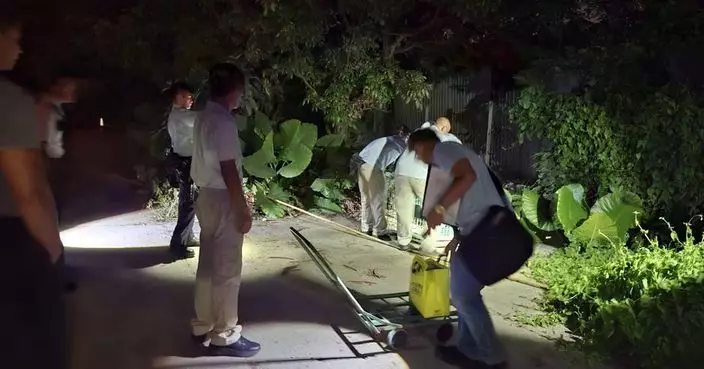 漁護署聯同警方新田捕獲一隻無人看管狗隻 已送動物管理中心扣留