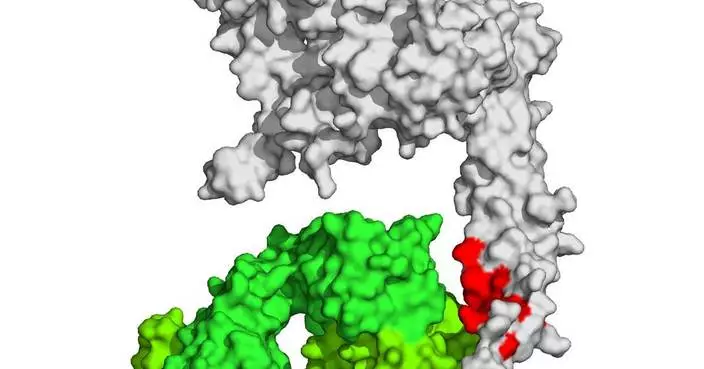 布魯克推功能蛋白質組學新進展 助藥物研發及疾病研究