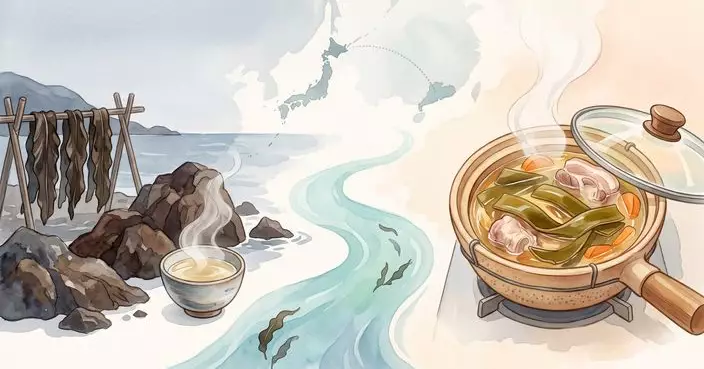 海帶的漂流：從「昆布」到「老火湯」的海洋移民
