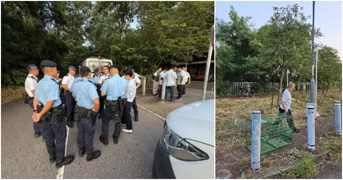 消息指元朗27歲女或遭數狗咬頸及氣管亡 漁護署查近28隻「倉庫狗」比對咬痕