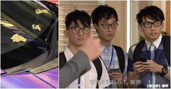 車頭玻璃曬果皮變「真塵皮」　  網民爆笑估真身用途