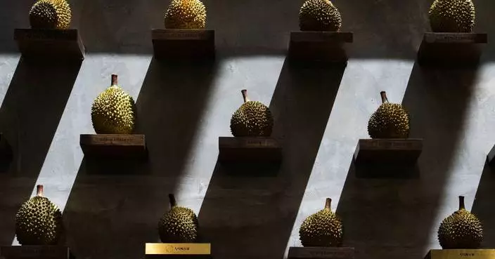 馬來西亞推動榴槤產業升級 冀擺脫路邊攤形象