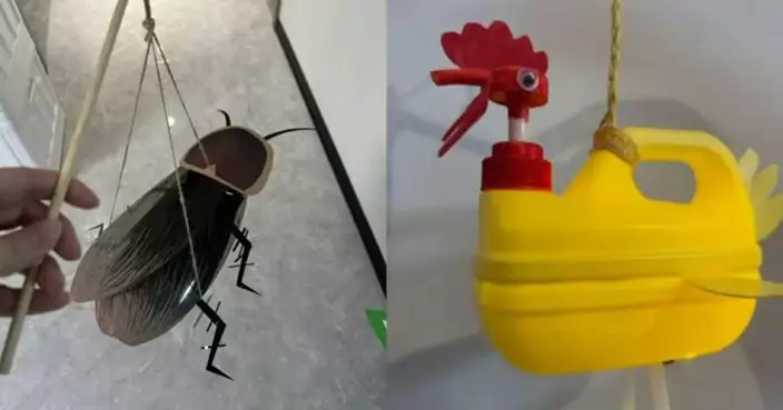 廣東家長中秋手工燈籠大賽！洗潔精瓶、柚子皮全出動  仲有發光「寶蠊燈」