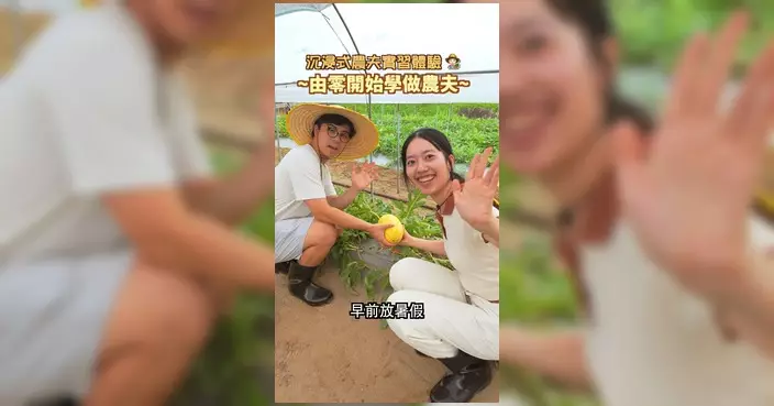 漁護署一連3日重溫大龍暑期實習計劃 首集體驗農作物生產