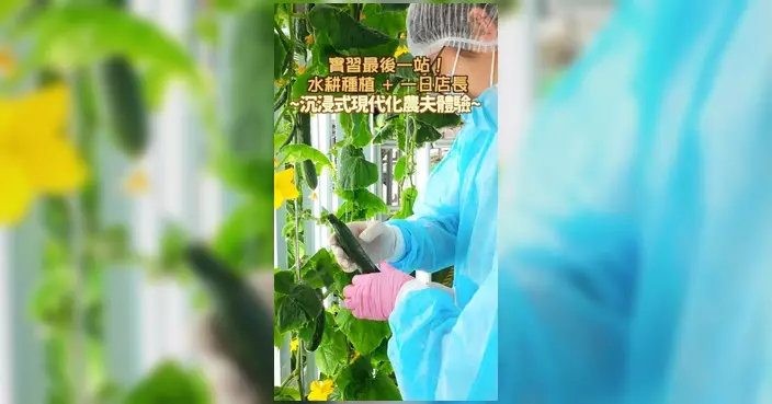 漁護署精華重溫最終回 帶學生體驗無土種植生產銷售全流程