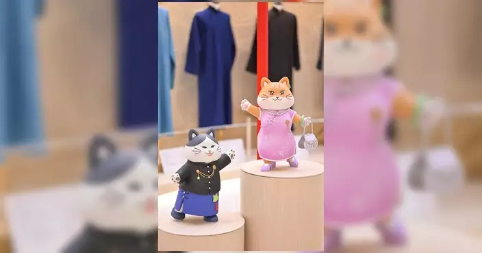 中西區辦「華裳雅韻」香港中式長衫展覽 金鐘太古廣場開幕免費入場