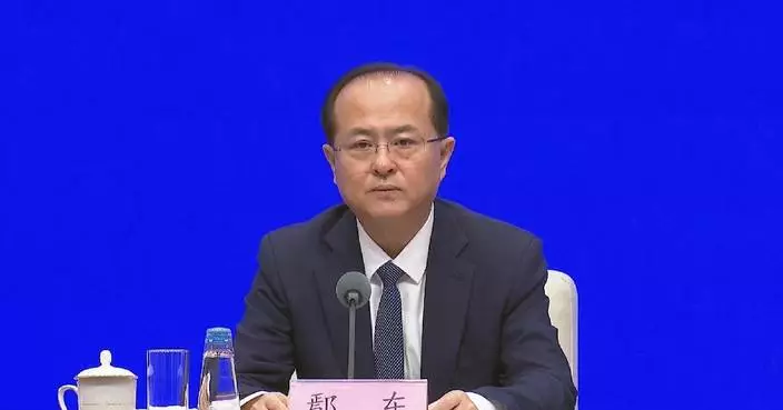 中國與東盟多個重大合作項目穩步推進 官員指雙方互為最活躍投資夥伴