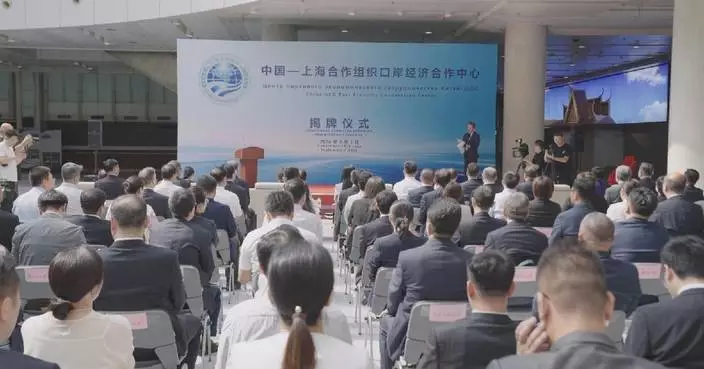 中國—上合組織港口經濟合作中心天津揭牌