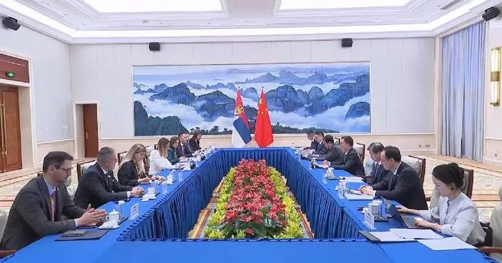 中國國家副主席韓正會見塞爾維亞副總理兼經濟部長