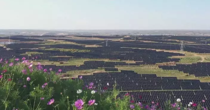 內蒙古綠電交易量超5000億千瓦時 居全國領先地位