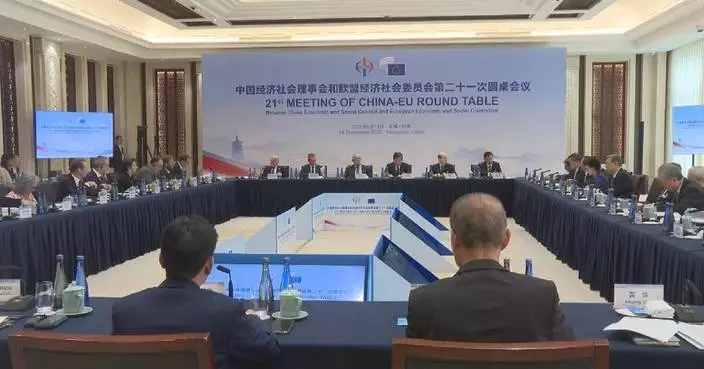 中歐代表呼籲加強貿易投資合作