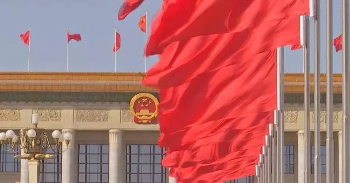 國際觀察員讚揚中國法律能力建設 貢獻全球治理