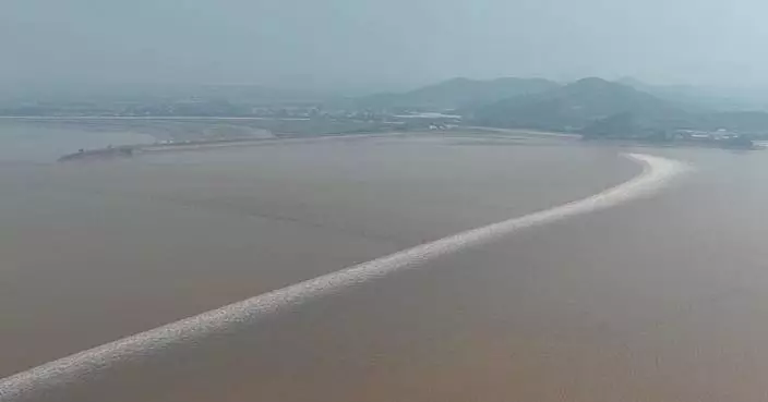 浙江錢塘江潮水吸引遊客觀賞