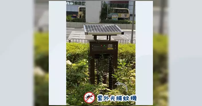 食環署闡述多元防蚊科技 強調源頭清除積水不可替代