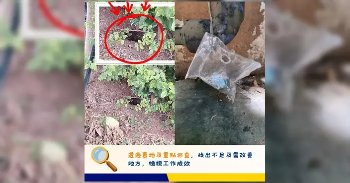 食環署專隊抽查防治蟲鼠承辦商 發16封失責通知書及20封警告信