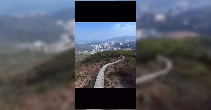 大上托長樓梯直達三角測量站 曾為東九龍將軍澳測量提供坐標參考