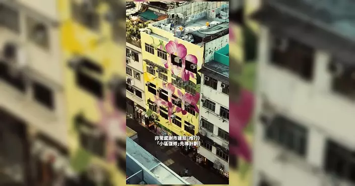 活化九龍城街坊聯手打造巨型壁畫 幗蘋樓外牆復修後成打卡新熱點