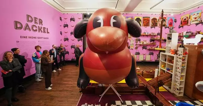 德國臘腸狗藝術展開幕 畢加索華荷作品呈現「脫韁偶像」