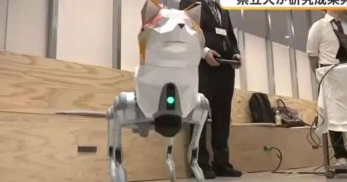 日本大學研發AI防熊機械狗 可仿秋田犬吠叫噴辣椒水驅熊 網民：長太萌了