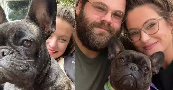 加州夫婦遭黑熊襲擊撲傷 法鬥犬挺身護主與熊糾纏 重傷兩日後不治