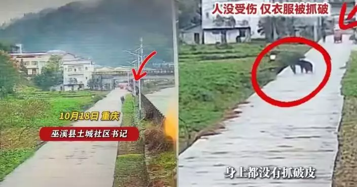外出散步遇黑熊 重慶7旬翁拿石頭上前驅趕反遭推落斜坡 驚險畫面曝光