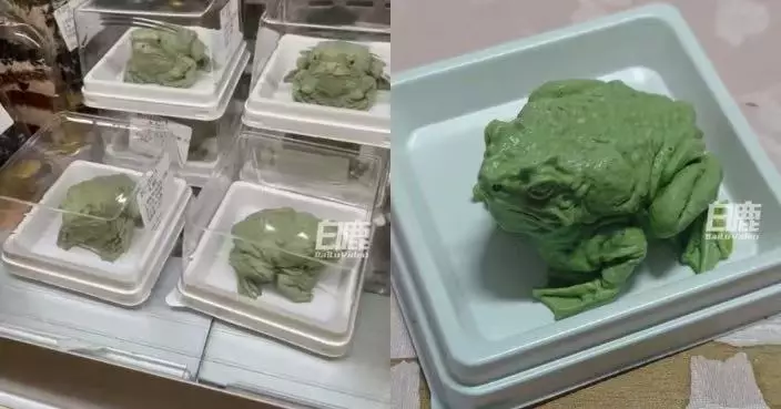 北京高校食堂推「癩蛤蟆蛋糕」爆紅 滿身斑點皺褶太逼真引學生排隊搶購