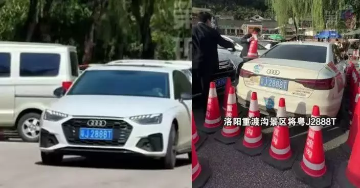 帶數十輛車駛入掘頭路 網紅女車主再帶錯路累遊客走逾10公里冤枉路