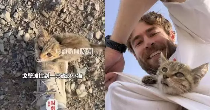 新疆進行萬里長跑偶遇流浪幼貓 英國退伍軍人暖心救起計劃帶回國團聚