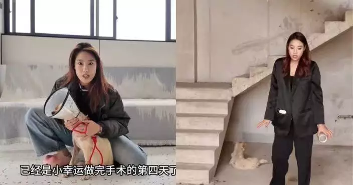 生前熱心救助流浪貓狗 甘肅27歲動保女網紅感染罕見真菌 搶救22日宣告不治　