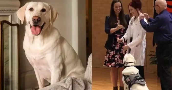 陪生病主人重返校園苦讀9年 服務犬隨主人一起上台領獎獲全場鼓掌