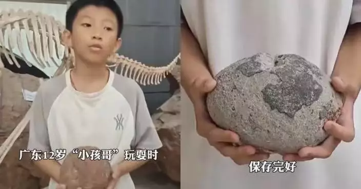 廣東12歲中學生花壇發現「蛋狀石頭」 AI辨識為恐龍蛋化石 送博物館證實