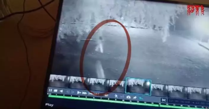 印度女童家門前玩耍遭野豹突襲叼走 家人1小時後樹林尋獲遺體