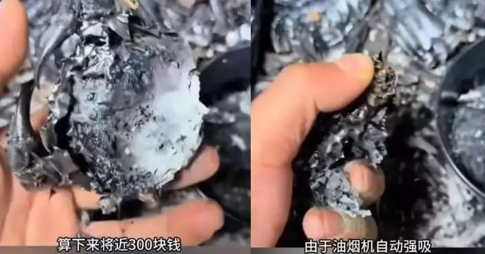 8隻大閘蟹蒸成「黑炭」 江蘇男開火後睡到天光 網民反問抽油煙機牌子